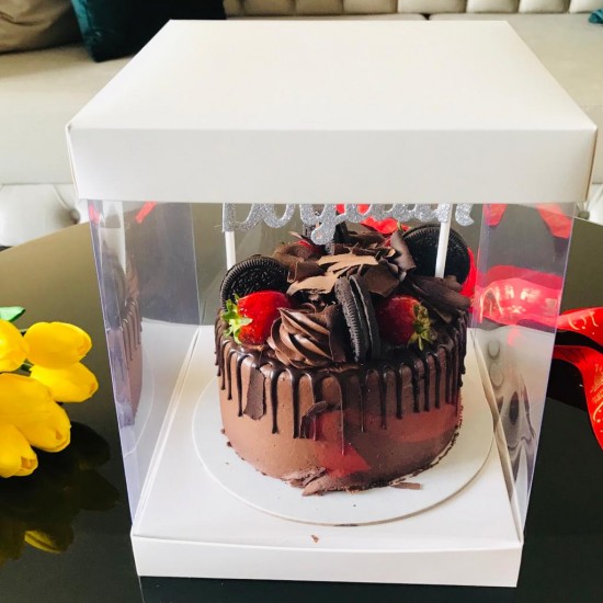 20x20x24 Alt-Üst Karton Asetat Kutu