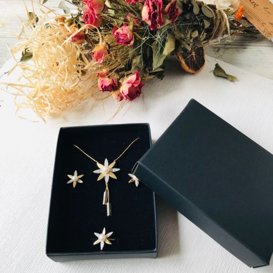 Takı Kutusu Süngerli 